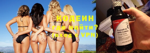 молекула духа Арсеньев