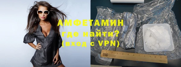 молекула духа Арсеньев