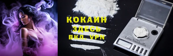 молекула духа Арсеньев