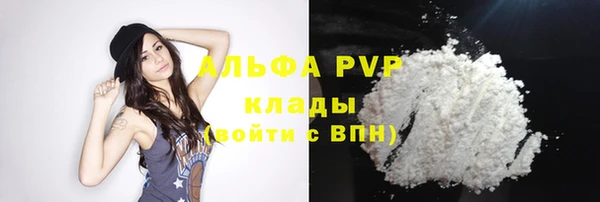 молекула духа Арсеньев