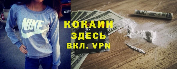 молекула духа Арсеньев