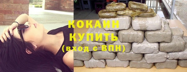 амф Грязовец