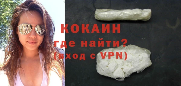 молекула духа Арсеньев