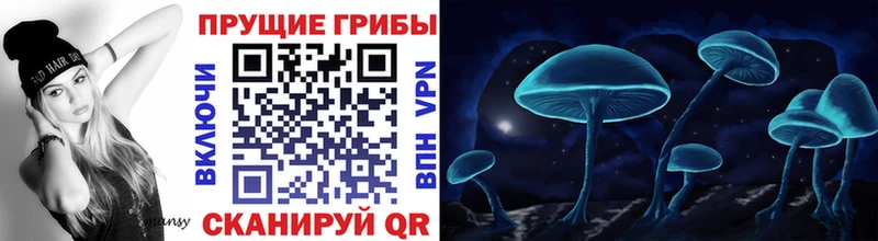 Псилоцибиновые грибы мухоморы  KRAKEN сайт  Бокситогорск 